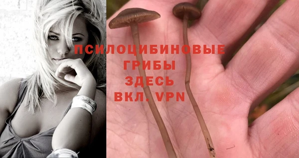 метадон Рославль