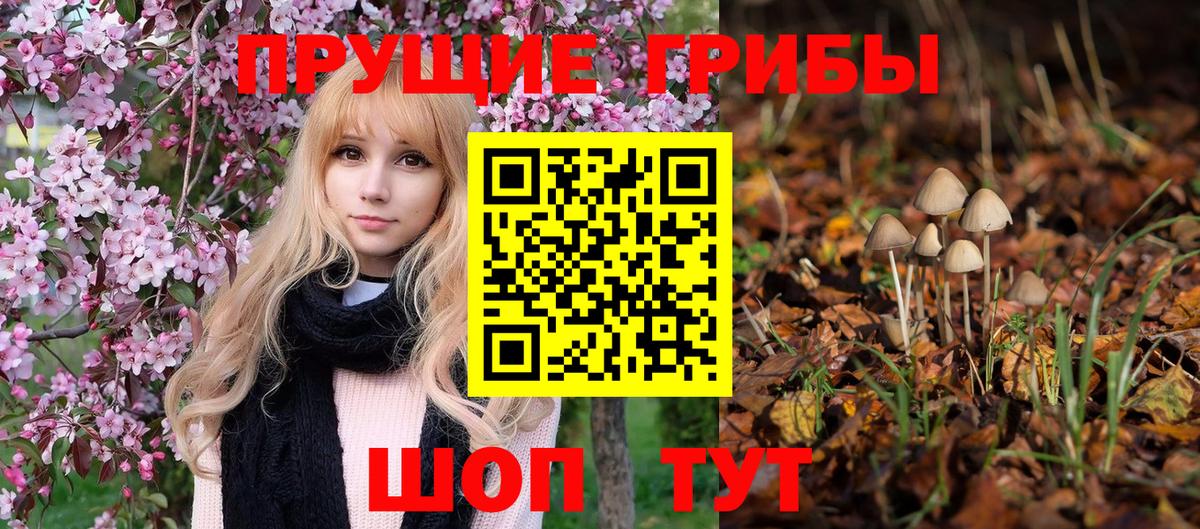 Галлюциногенные грибы мицелий Свободный