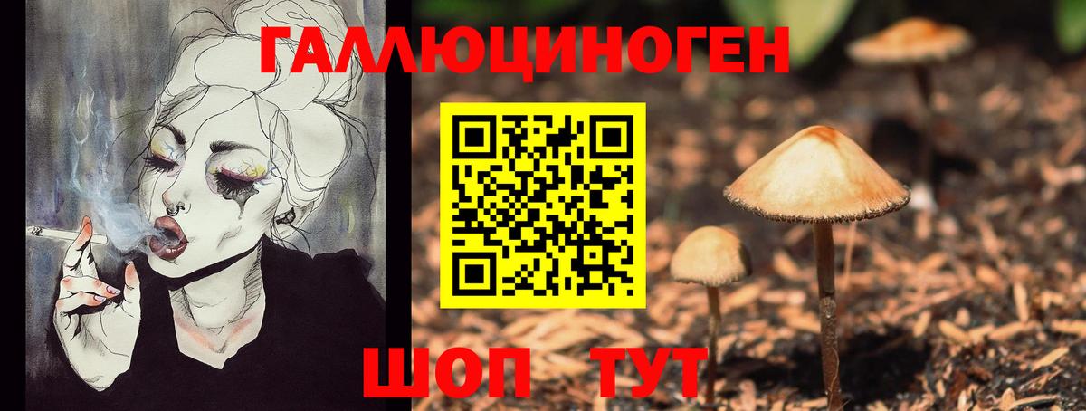 Псилоцибиновые грибы мухоморы  Вход с VPN  Псилоцибиновые грибы Psilocybine cubensis  Свободный 